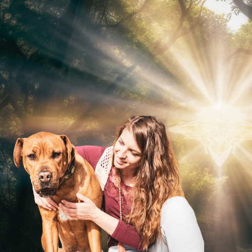 Catalina Kirsch Intuitive Tierkommunikation Hintergrund (4)