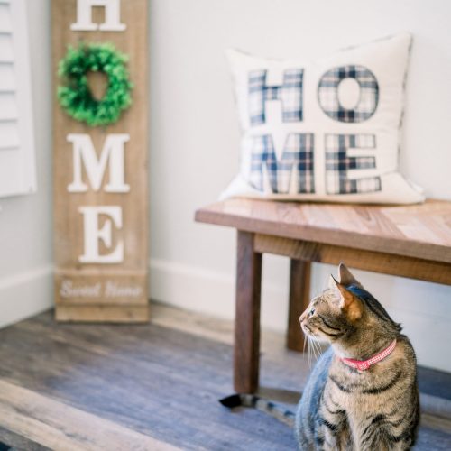 Housesitting leicht gemacht Housesitting leicht gemacht