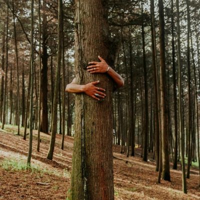 Martin Pleissner-Hintergrund-simple connection to nature