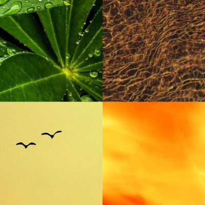 Pangera-Carmen Dettendorfer - Elemente