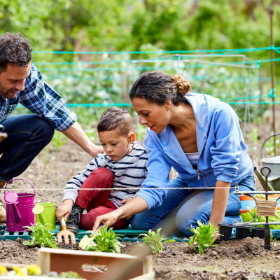 Pangera-Christa Lorenzi-Frühling-Kräuter (7)
