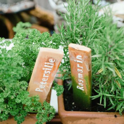 Pangera - Christa Lorenzi - Gärtnern auf kleinem Raum (2)