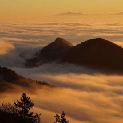 Sigwart Zeidler-Nebellandschaft