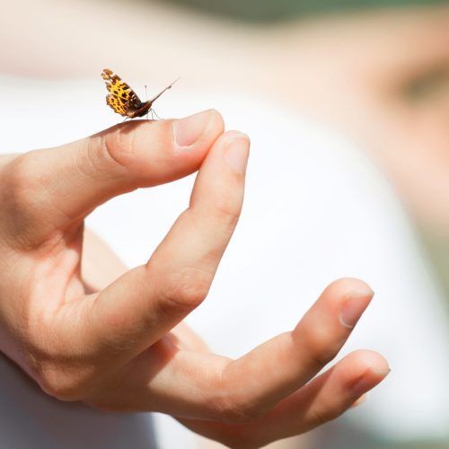 Stefan von Löwensprung - Hintergrund (7)